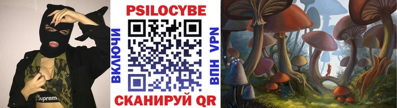 Галлюциногенные грибы Magic Shrooms  Купить где  Городище 